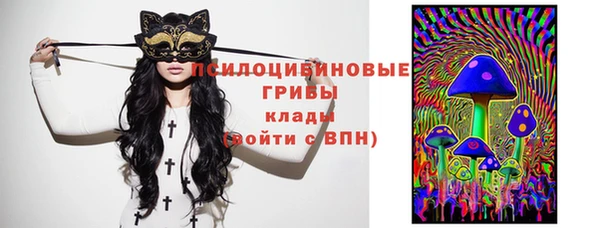 крисы Киреевск