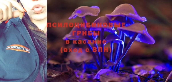 крисы Киреевск