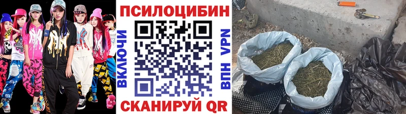 Псилоцибиновые грибы Psilocybine cubensis Купить где Дмитриев